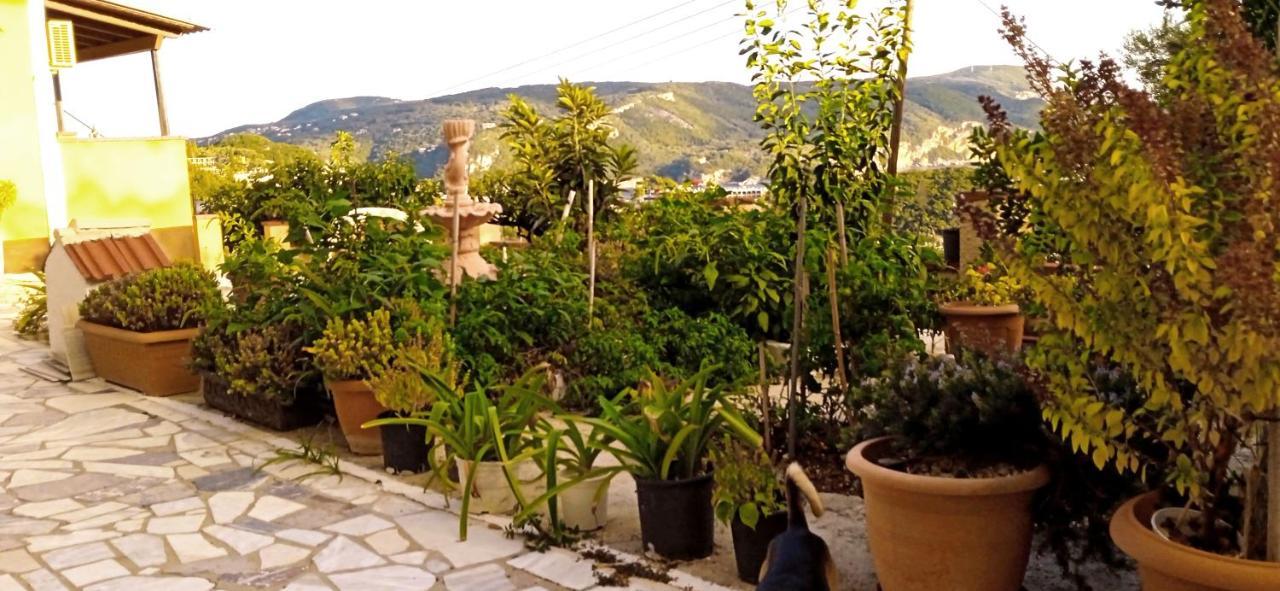 Vassilis Apartments Paleokastritsa Buitenkant foto